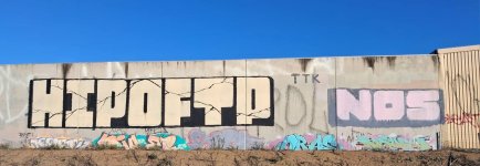 IMG_0320.jpeg