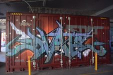 IMG_0769.jpeg