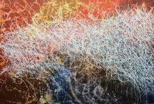 c55aa9844410dd9b6350ce66653922a0.png