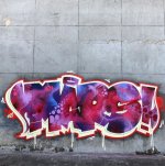 IMG_2344.jpeg