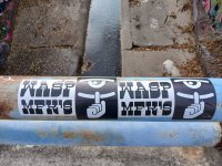 IMG_2510.jpeg