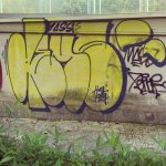 IMG_2443.jpeg