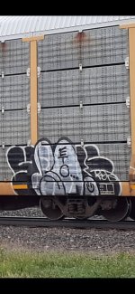 IMG_4371.jpeg