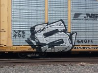 IMG_4267.jpeg