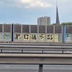 IMG_4023.jpeg