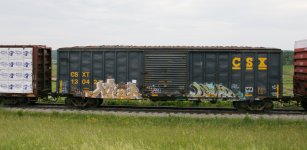 photo-csxt130421-2010-06-16-slr.JPG