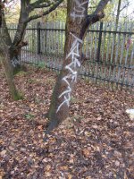 IMG_4389.jpeg