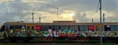 IMG_4514.jpeg