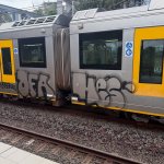 IMG_4909.jpeg