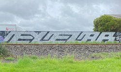 IMG_5158.jpeg