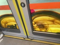 IMG_5603.jpeg