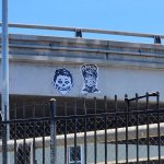 IMG_6471.jpeg