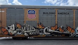 IMG_6472.jpeg
