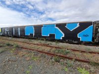 graffiti-trains.jpg