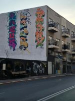 IMG_7231.jpeg