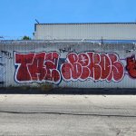 IMG_6468.jpeg
