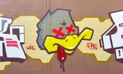IMG_7224.jpeg