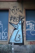 birds-30.jpg