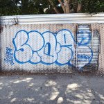 IMG_6467.jpeg