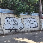 IMG_6466.jpeg