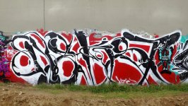 IMG_6995.jpeg