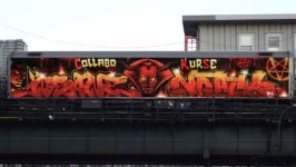 IMG_7955.jpeg