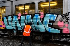 IMG_7940.jpeg