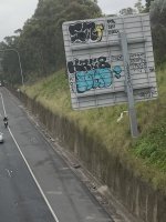 IMG_7834.jpeg