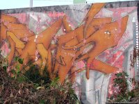 07170792.jpg