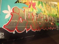 IMG_8135.jpeg