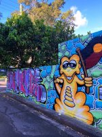 IMG_7903.jpeg