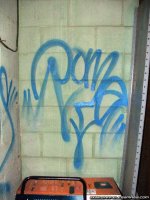 10060705.jpg
