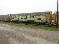 IMG_9729.JPG