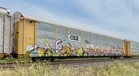 IMG_0658.jpeg