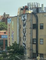 IMG_8523.jpeg