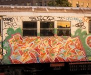 IMG_8692.jpeg