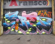 IMG_8673.jpeg