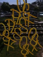IMG_8992.jpeg