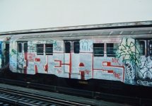 IMG_6115.jpeg