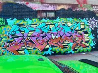 IMG_9509.jpeg