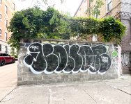 IMG_9503.jpeg