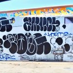 IMG_9724.jpeg