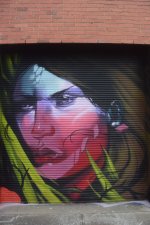 IMG_0348.jpeg