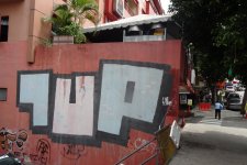 IMG_0974.jpeg