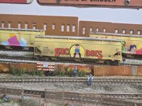 IMG_0393.jpeg