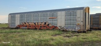 IMG_1707.jpeg