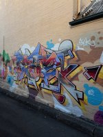 IMG_2037.jpeg