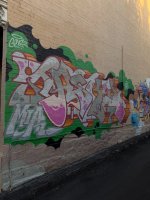 IMG_2036.jpeg