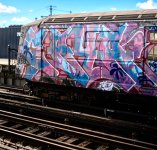 IMG_2084.jpeg