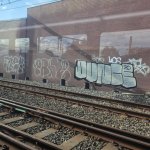 IMG_2503.jpeg